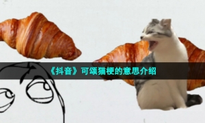 《抖音》可颂猫梗的意思介绍