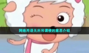 网络用语无所吊谓梗的意思介绍