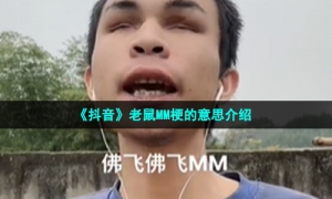 《抖音》老鼠MM梗的意思介绍