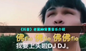 《抖音》老鼠MM背景音乐介绍