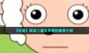 《抖音》胡说八道文学梗的意思介绍