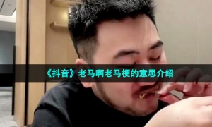 《抖音》老马啊老马梗的意思介绍