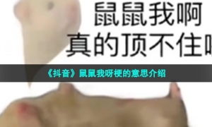 《抖音》鼠鼠我呀梗的意思介绍