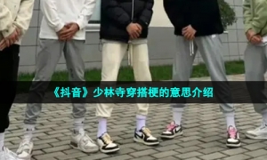 《抖音》少林寺穿搭梗的意思介绍