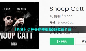 《抖音》少林寺穿搭视频BGM歌曲介绍