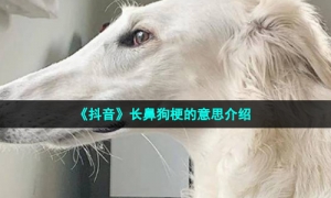 《抖音》长鼻狗梗的意思介绍