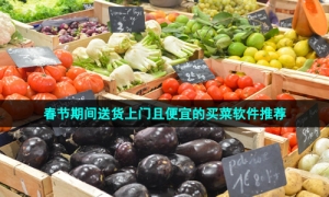 春节期间送货上门且便宜的买菜软件推荐