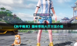 《和平精英》猫咪带到大厅方法介绍