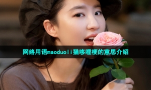 网络用语maoduoli猫哆哩梗的意思介绍