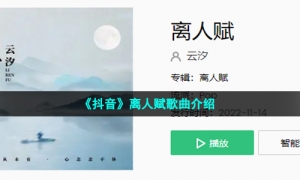 《抖音》离人赋歌曲介绍
