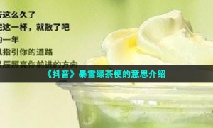 《抖音》暴雪绿茶梗的意思介绍