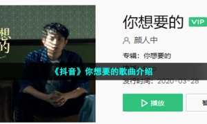 《抖音》你想要的歌曲介绍