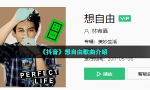 《抖音》想自由歌曲介绍