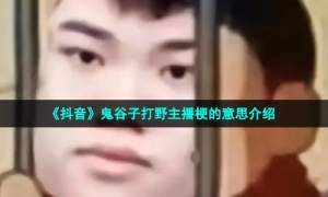 《抖音》鬼谷子打野主播梗的意思介绍