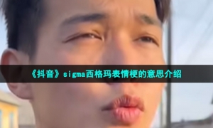 《抖音》sigma西格玛表情梗的意思介绍