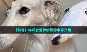 《抖音》咩咩肚爱佛油梗的意思介绍