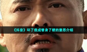 《抖音》坏了我成替身了梗的意思介绍