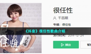 《抖音》很任性歌曲介绍