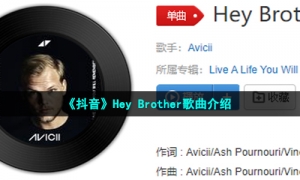 《抖音》Hey Brother歌曲介绍