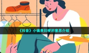 《抖音》小镇贵妇梗的意思介绍