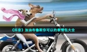 《抖音》加油布鲁斯你可以的表情包大全