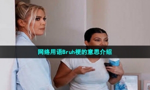 网络用语Bruh梗的意思介绍