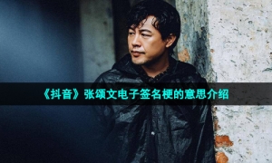 《抖音》张颂文电子签名梗的意思介绍