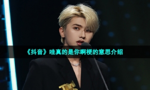 《抖音》哇真的是你啊梗的意思介绍