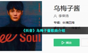 《抖音》乌梅子酱歌曲介绍