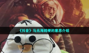 《抖音》马兆海鸥梗的意思介绍