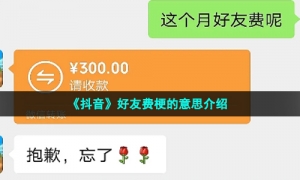 《抖音》好友费梗的意思介绍