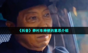 《抖音》莽村车神梗的意思介绍