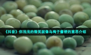 《抖音》你浅浅的微笑就像乌梅子酱梗的意思介绍