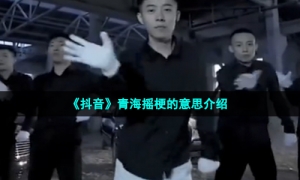 《抖音》青海摇梗的意思介绍