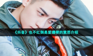 《抖音》也不红倒是爱蹭梗的意思介绍