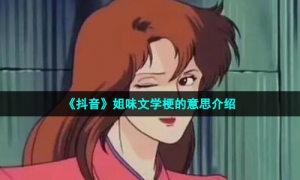 《抖音》姐味文学梗的意思介绍