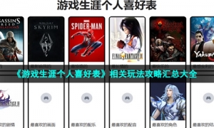 《游戏生涯个人喜好表》相关玩法攻略汇总大全