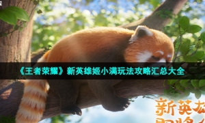 《王者荣耀》新英雄姬小满玩法攻略汇总大全