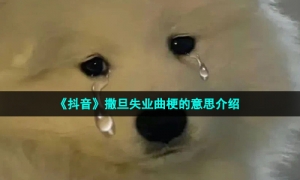 《抖音》撒旦失业曲梗的意思介绍