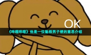 《哔哩哔哩》他是一位魁梧男子梗的意思介绍