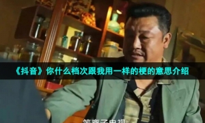 《抖音》你什么档次跟我用一样的梗的意思介绍