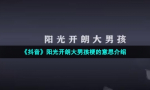 《抖音》阳光开朗大男孩梗的意思介绍