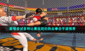 能够尝试多种比赛规则的热血拳击手游推荐