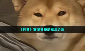 《抖音》富婆音梗的意思介绍