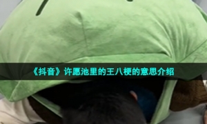 《抖音》许愿池里的王八梗的意思介绍