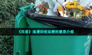 《抖音》浪漫回收站梗的意思介绍