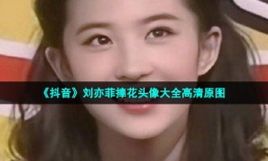 《抖音》刘亦菲捧花头像大全高清原图