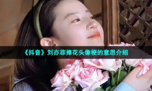 《抖音》刘亦菲捧花头像梗的意思介绍