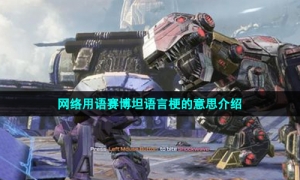 网络用语赛博坦语言梗的意思介绍