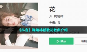 《抖音》鞠婧祎新歌花歌曲介绍